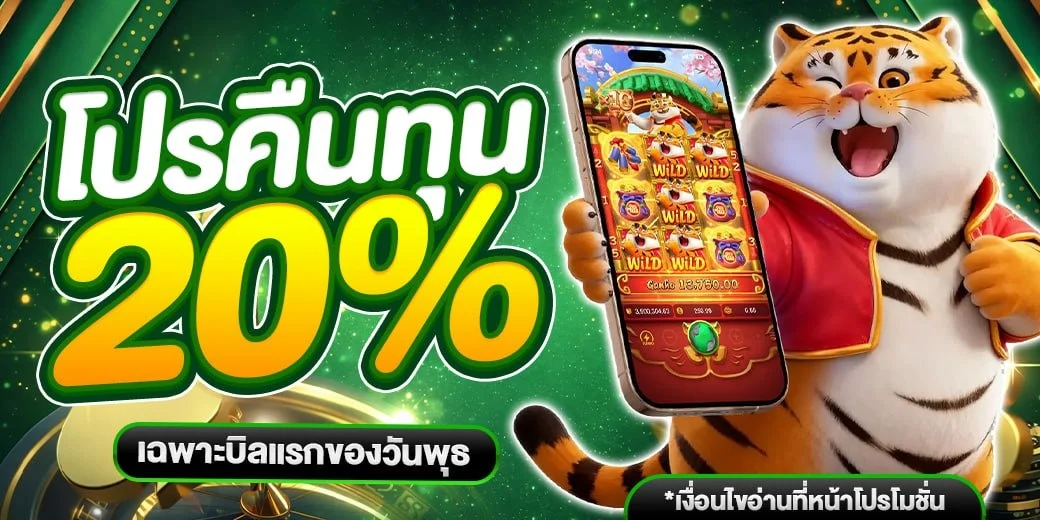 ALLIN1 เว็บตรง สล็อต คาสิโน กีฬา หวย ฝากถอนออโต้